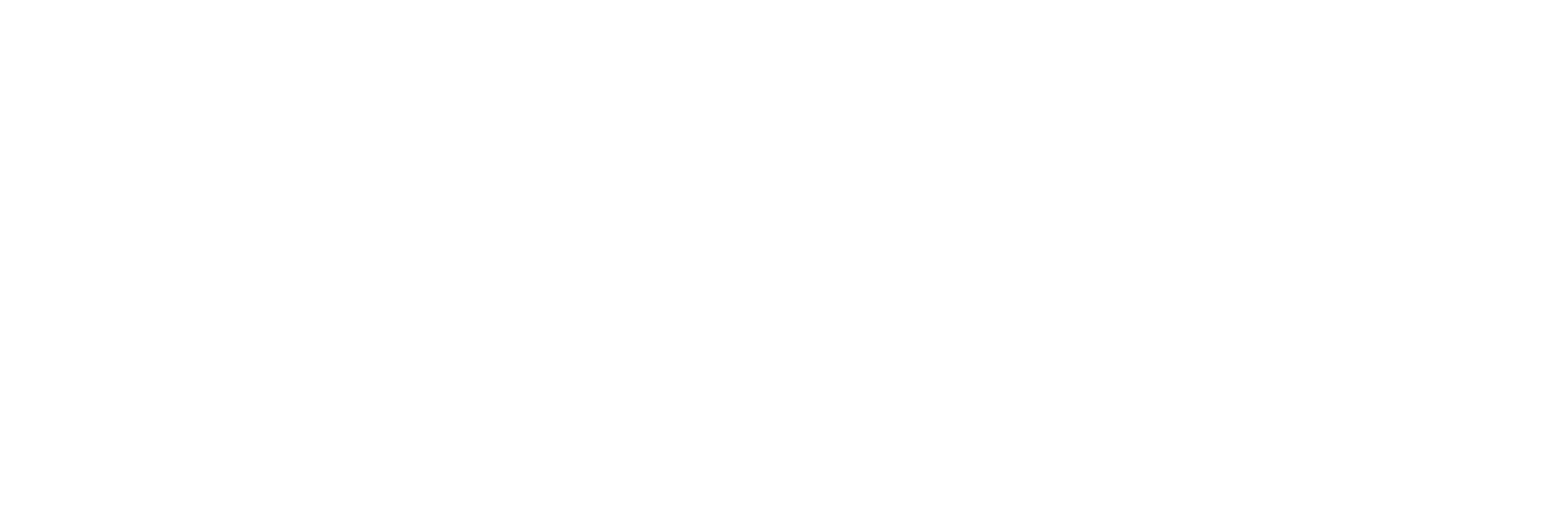 Digitivia